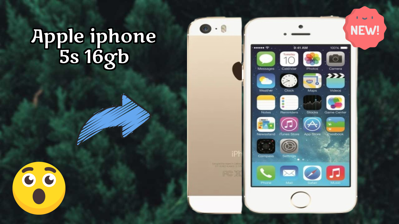 Apple IPhone 5s 16GB Display Analysis: 4 Inches (10.16 Cm) Screen